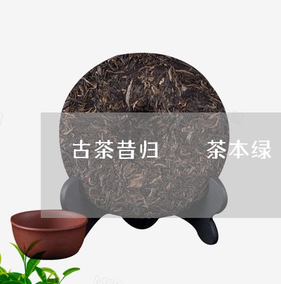 古茶昔归  茶本绿/2023032223472